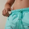 Best Sale 😉 Intimissimi Men Orca Print Swim Trunks St. Orche Minty Blue ✔️