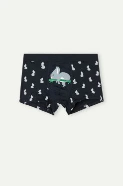 Wholesale ✨ Intimissimi Men Koala Boxers In Stretch Supima® Cotton Midnight Blue Koala Print ❤️